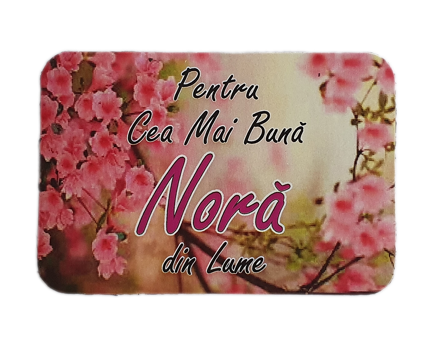 Magnet de frigider - Pentru cea mai buna nora Magnet de frigider - Pentru cea mai buna nora