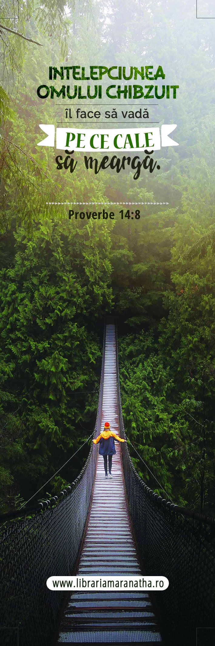 Semn de carte - Intelepciunea omului chibzuit (17) Semn de carte - Intelepciunea omului chibzuit (17)