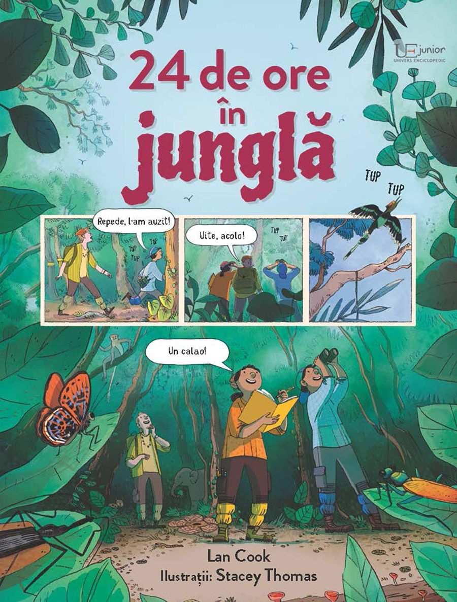 24 de ore in junglă 24 de ore in junglă