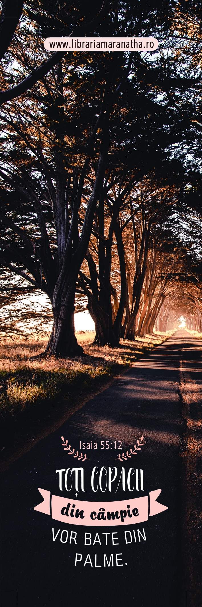 Semn de carte - Toti copacii din campie vor bate din palme (39) Semn de carte - Toti copacii din campie vor bate din palme (39)