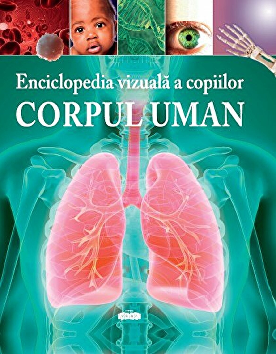Enciclopedia vizuala a copiilor - Corpul uman Enciclopedia vizuala a copiilor - Corpul uman
