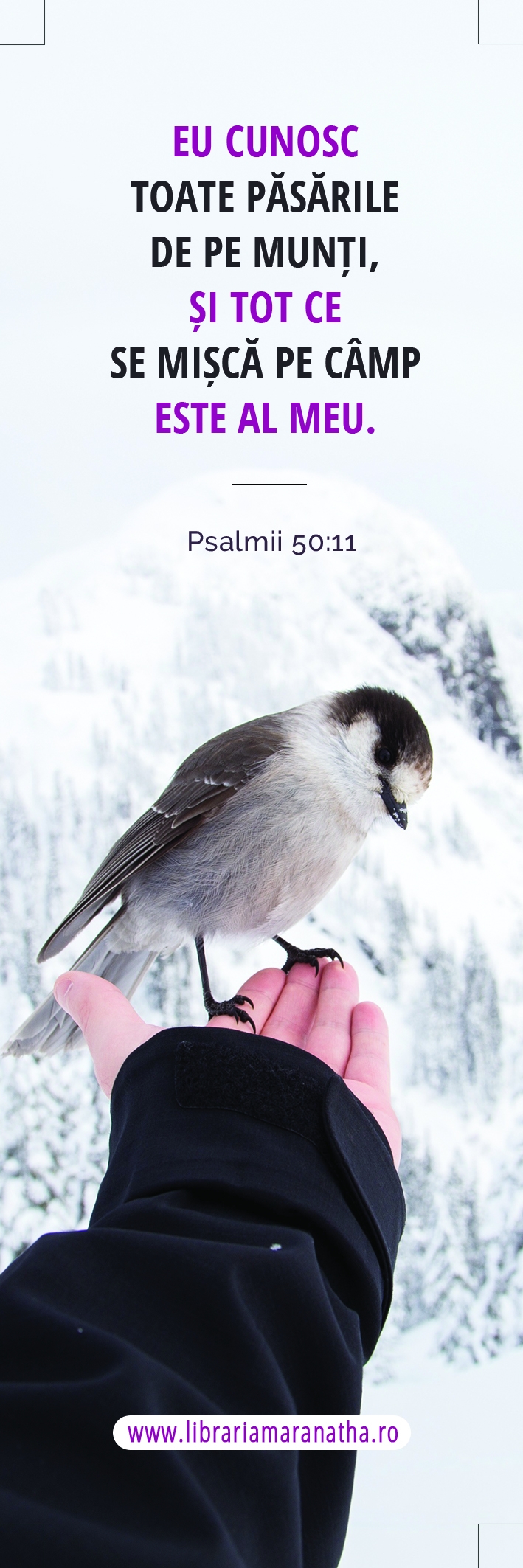 Semn de carte - Eu cunosc toate pasarile de pe munti (9) Semn de carte - Eu cunosc toate pasarile de pe munti (9)