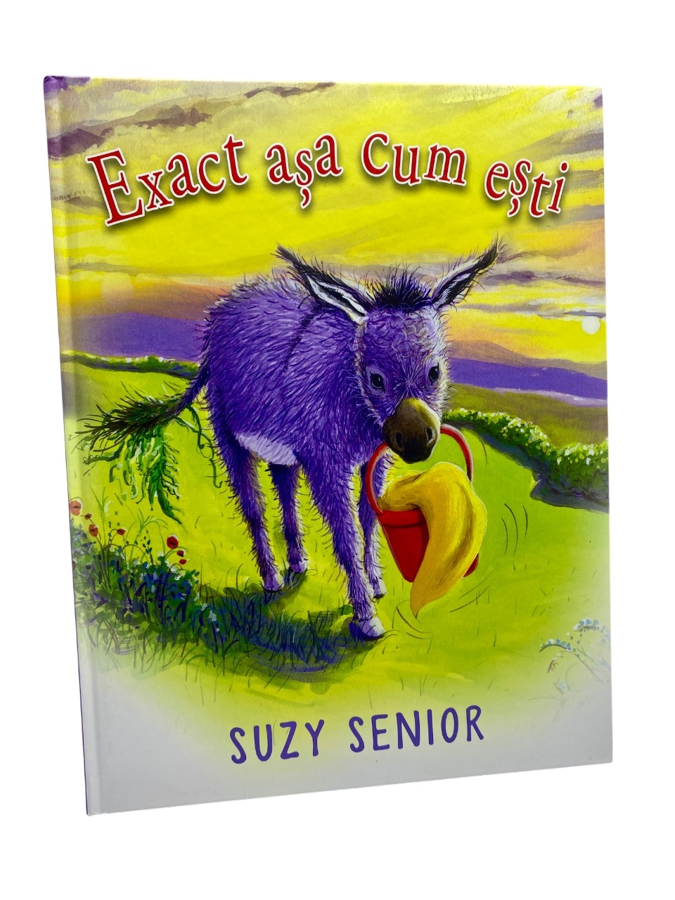 Exact asa cum esti - poveste