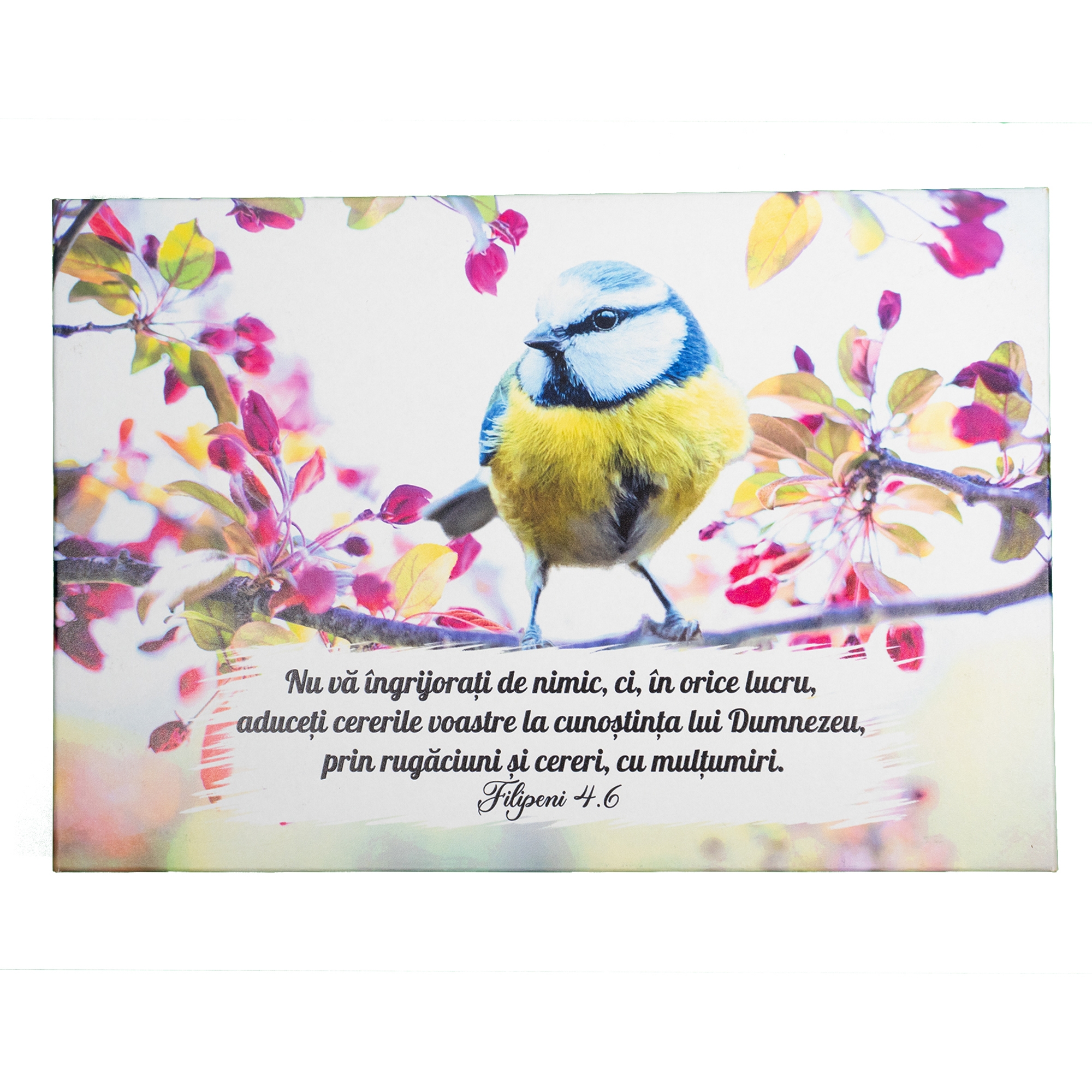 Tablou - " Nu vă îngrijorați de nimic, ci, în orice lucru, aduceți cererile voaste la cunoștința lui Dumnezeu..." (Filipeni 4:6) Tablou - " Nu vă îngrijorați de nimic, ci, în orice lucru, aduceți cererile voaste la cunoștința lui Dumnezeu..." (Filipeni 4:6)