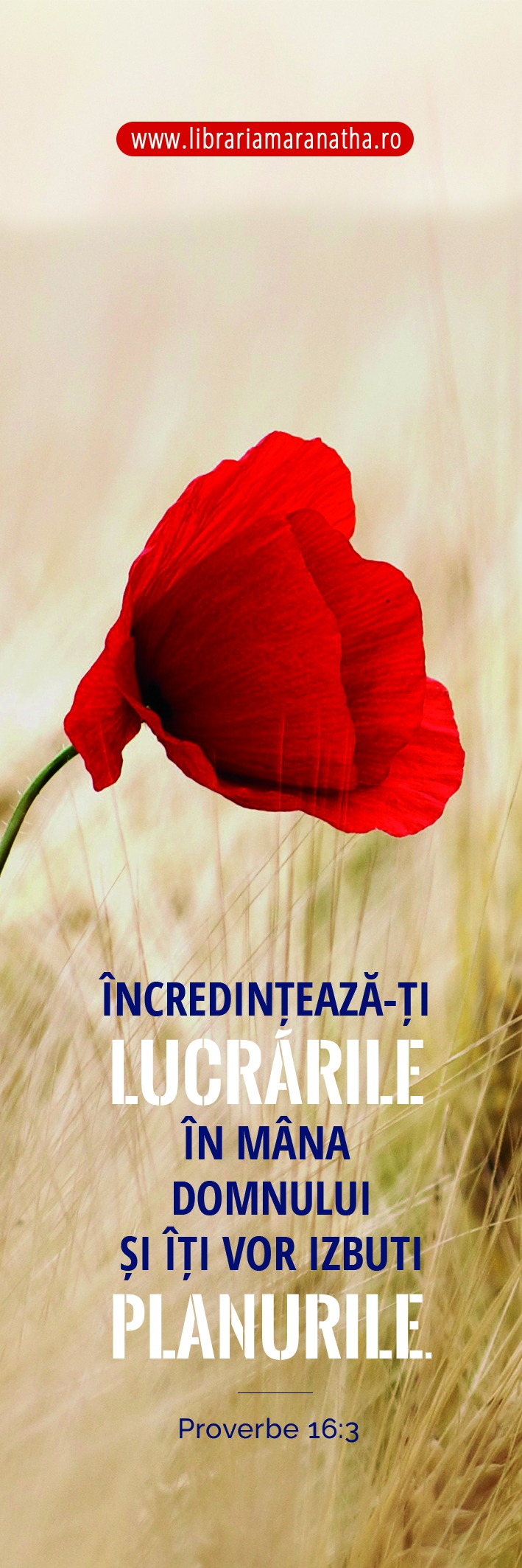 Semn de carte - Incredinteaza-ti lucrarile  (77) Semn de carte - Incredinteaza-ti lucrarile  (77)