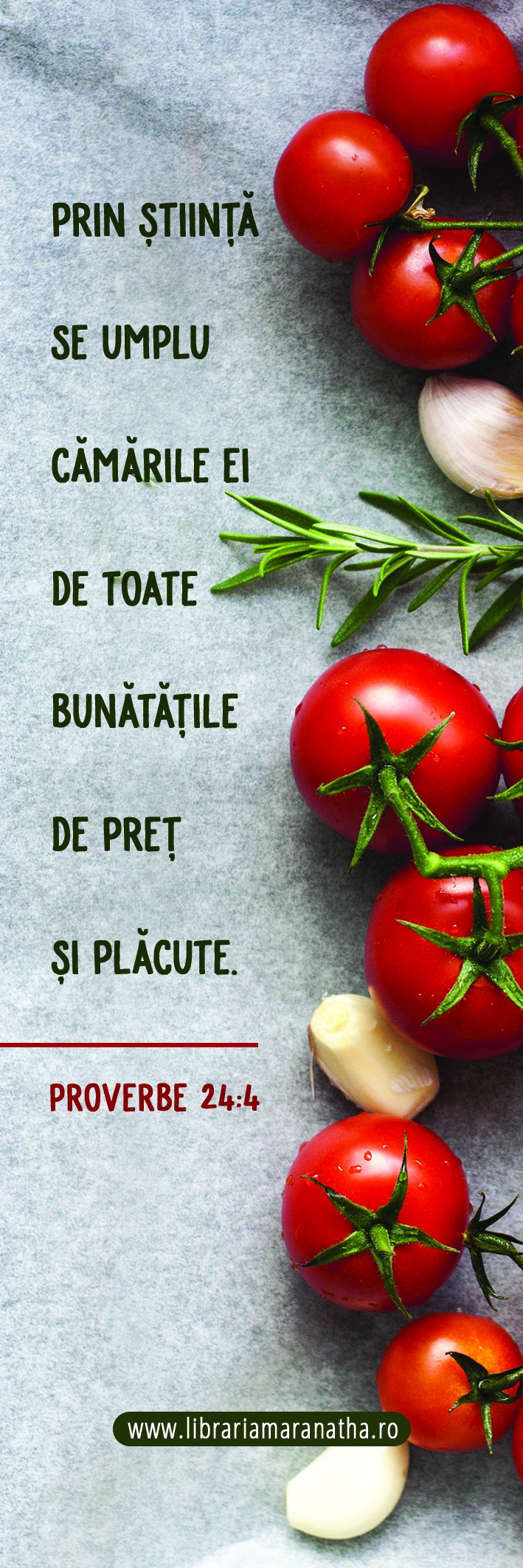 Semn de carte - Prin stiinta se umplu camarile ei de toate bunatatile (60) Semn de carte - Prin stiinta se umplu camarile ei de toate bunatatile (60)