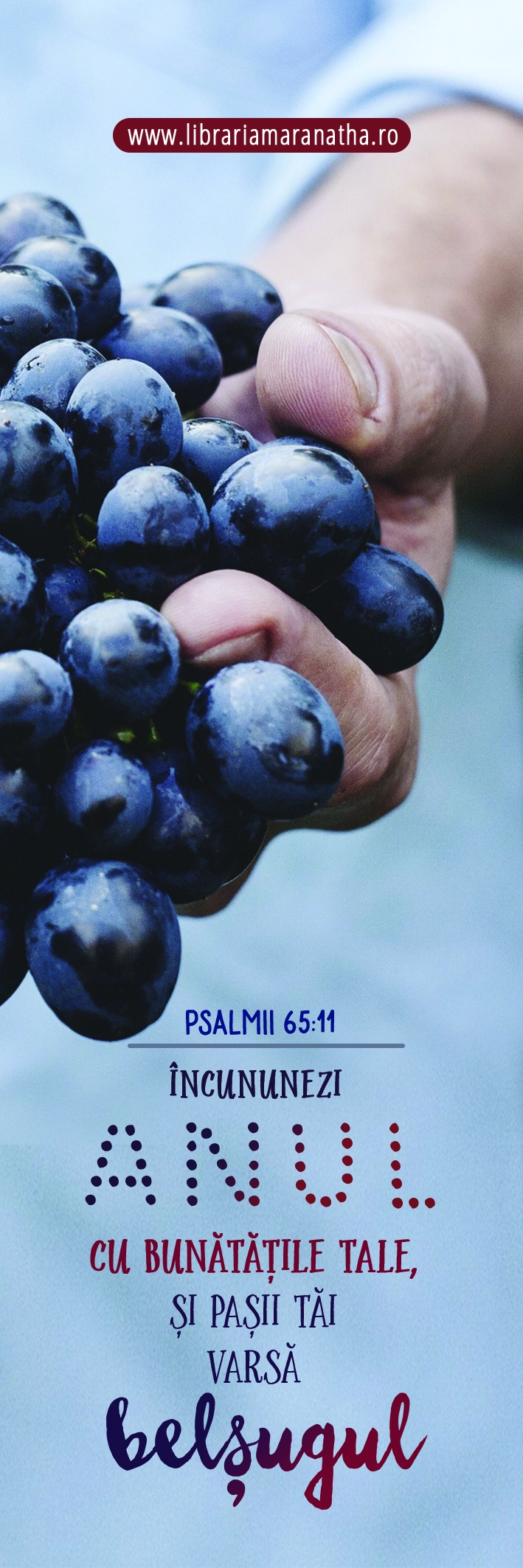 Semn de carte - Incununezi anul cu bunatatile Tale (75) Semn de carte - Incununezi anul cu bunatatile Tale (75)