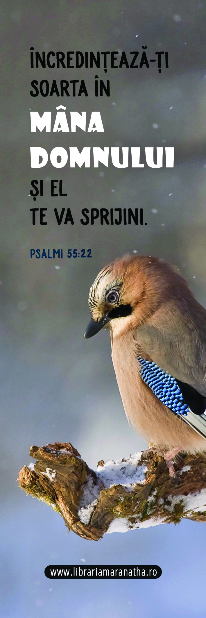 Semn de carte - Incredinteaza-ti soarta in mana Domnului (86) Semn de carte - Incredinteaza-ti soarta in mana Domnului (86)