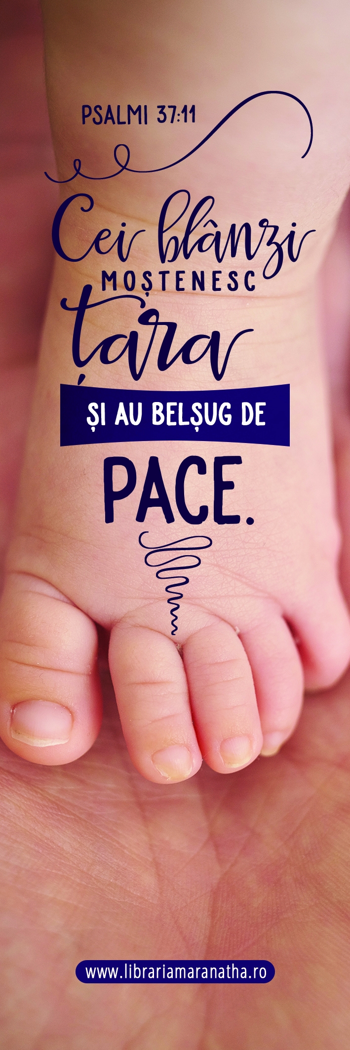 Semn de carte - Cei blanzi mostenesc tara (72) Semn de carte - Cei blanzi mostenesc tara (72)