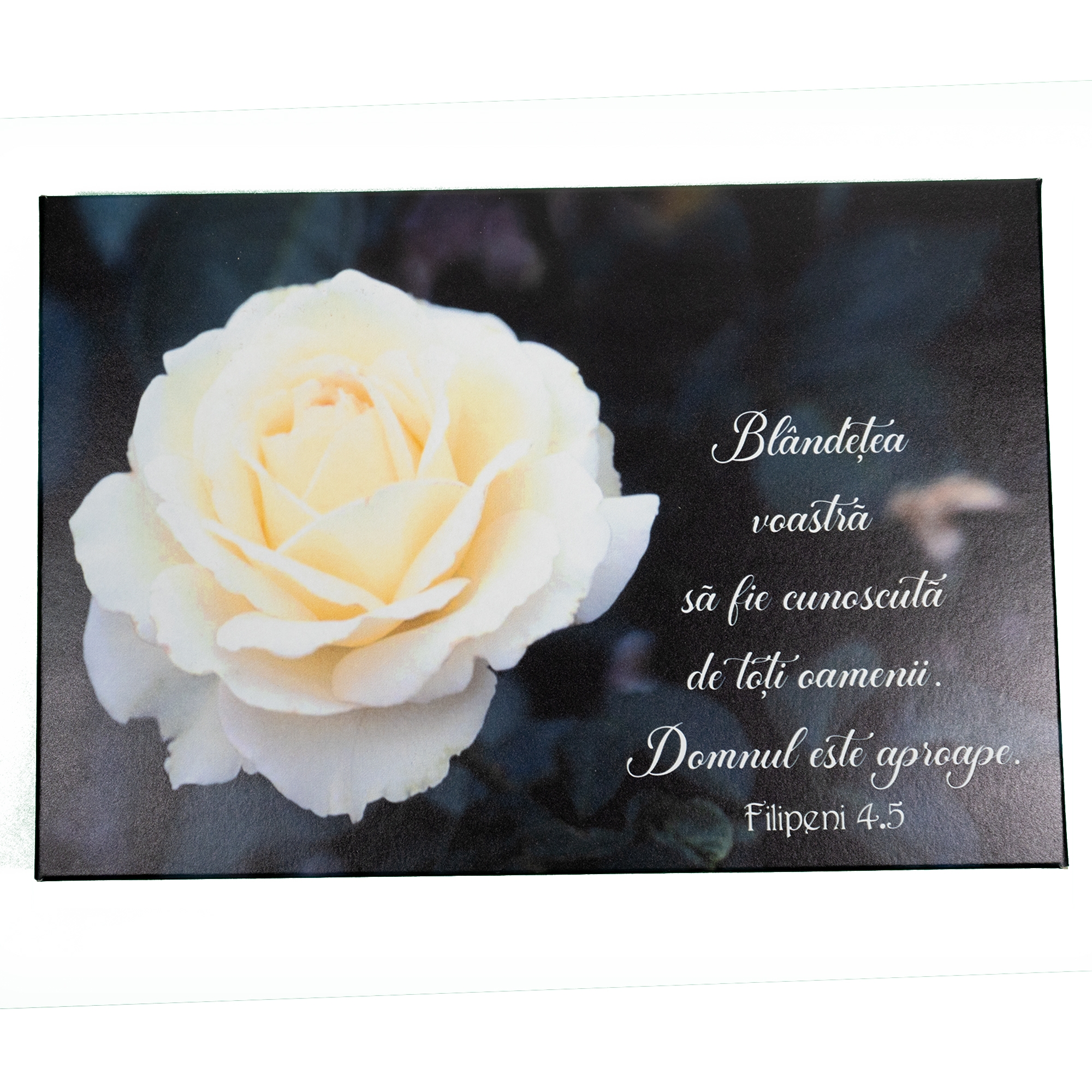 Tablou - "Blândețea voastră să fie cunoscută de toți oamenii. Domnul este aproape." (Filipeni 4:5) Tablou - "Blândețea voastră să fie cunoscută de toți oamenii. Domnul este aproape." (Filipeni 4:5)