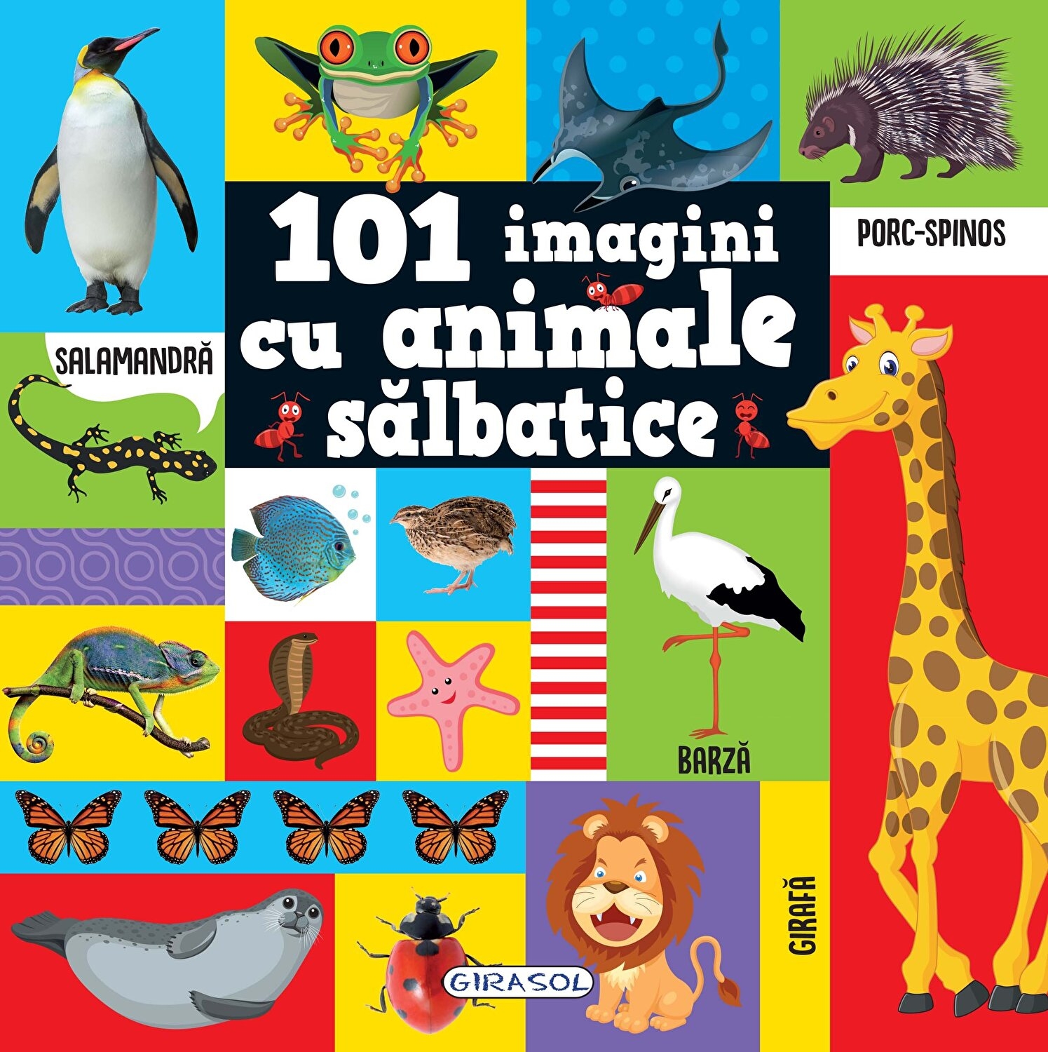 101 imagini cu animale salbatice 101 imagini cu animale salbatice