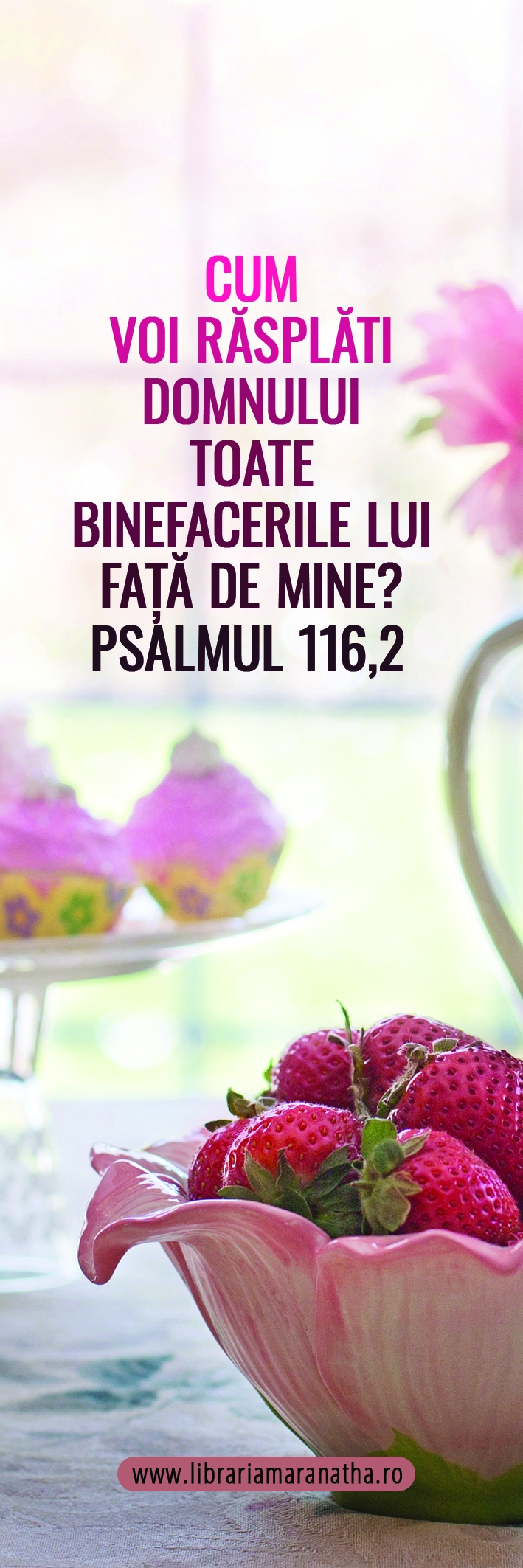 Semn de carte - Cum voi rasplati Domnului toate binefacerile Lui (58) Semn de carte - Cum voi rasplati Domnului toate binefacerile Lui (58)