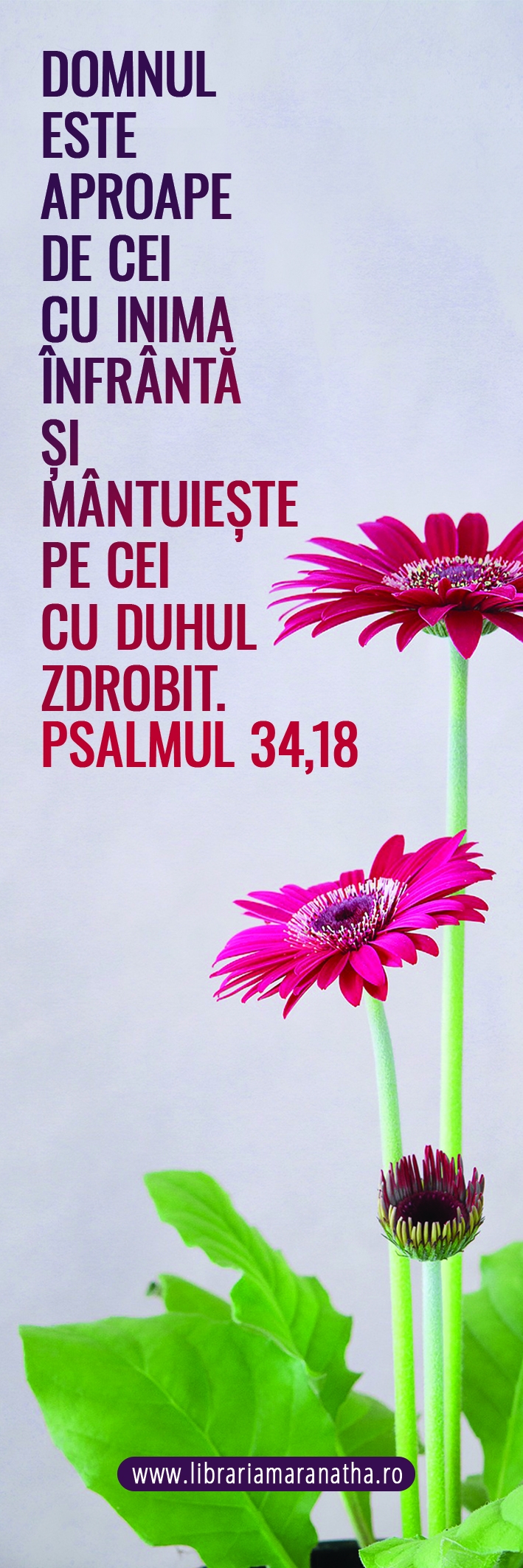 Semn de carte - Domnul este aproape de cei cu inima infranta (67) Semn de carte - Domnul este aproape de cei cu inima infranta (67)