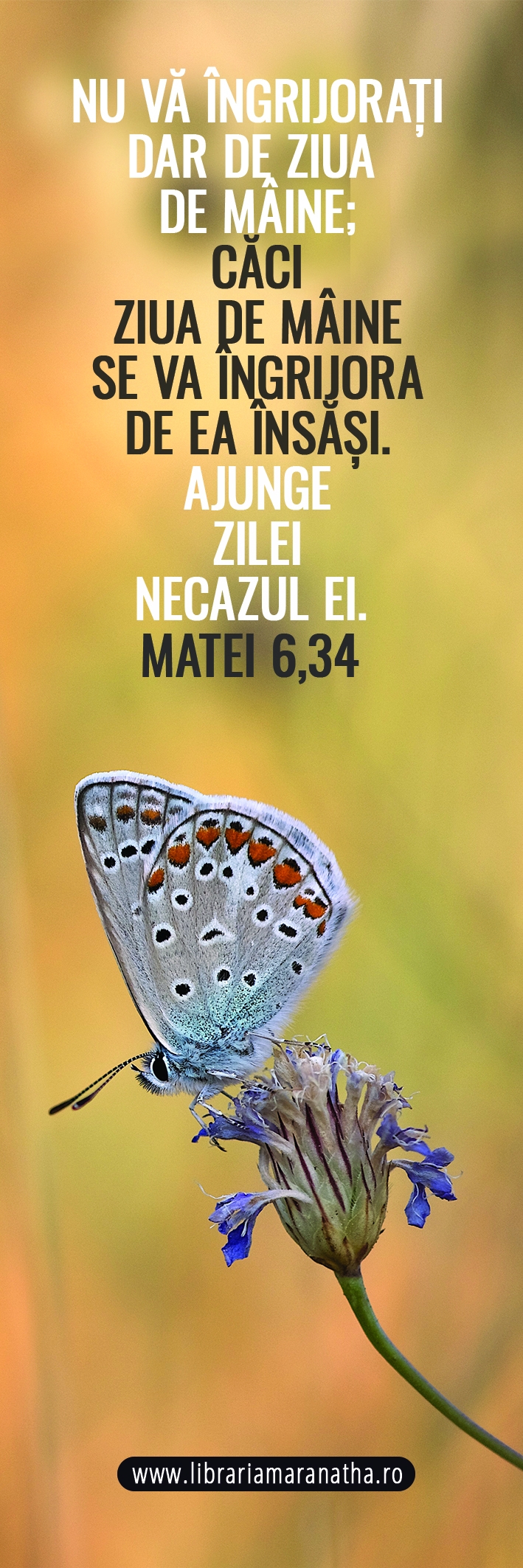 Semn de carte - Nu va ingrijorati dar de ziua de maine (70)