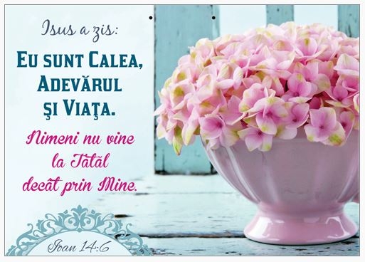 Poster cu verset A4 - Verset:  Isus a zis: "Eu sunt Calea, Adevărul şi Viaţa. Nimeni nu vine la Tatăl decât prin Mine." Ioan 14:6   [166]