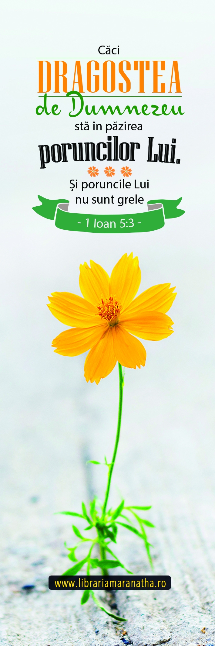 Semn de carte - Caci dragostea de Dumnezeu sta in pazirea poruncilor Lui (17) Semn de carte - Caci dragostea de Dumnezeu sta in pazirea poruncilor Lui (17)