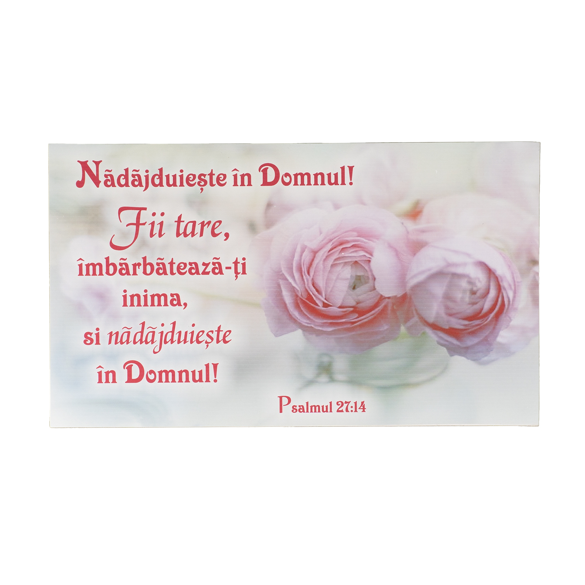 Nădăjduiește în Domnul 2- Placheta birou Nădăjduiește în Domnul 2- Placheta birou