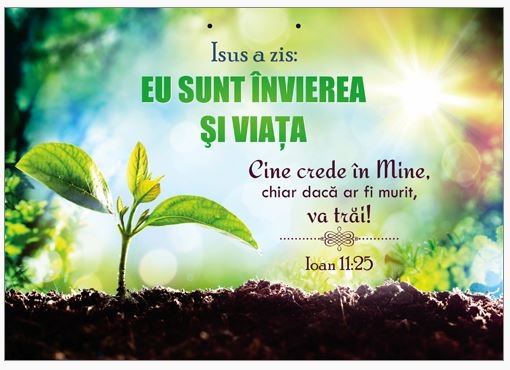 Poster cu verset A4 -  Verset:  Isus a zis: "Eu sunt învierea şi viaţa. Cine crede în Mine, chiar dacă ar fi murit, va trăi!" Ioan 11:25    [185]