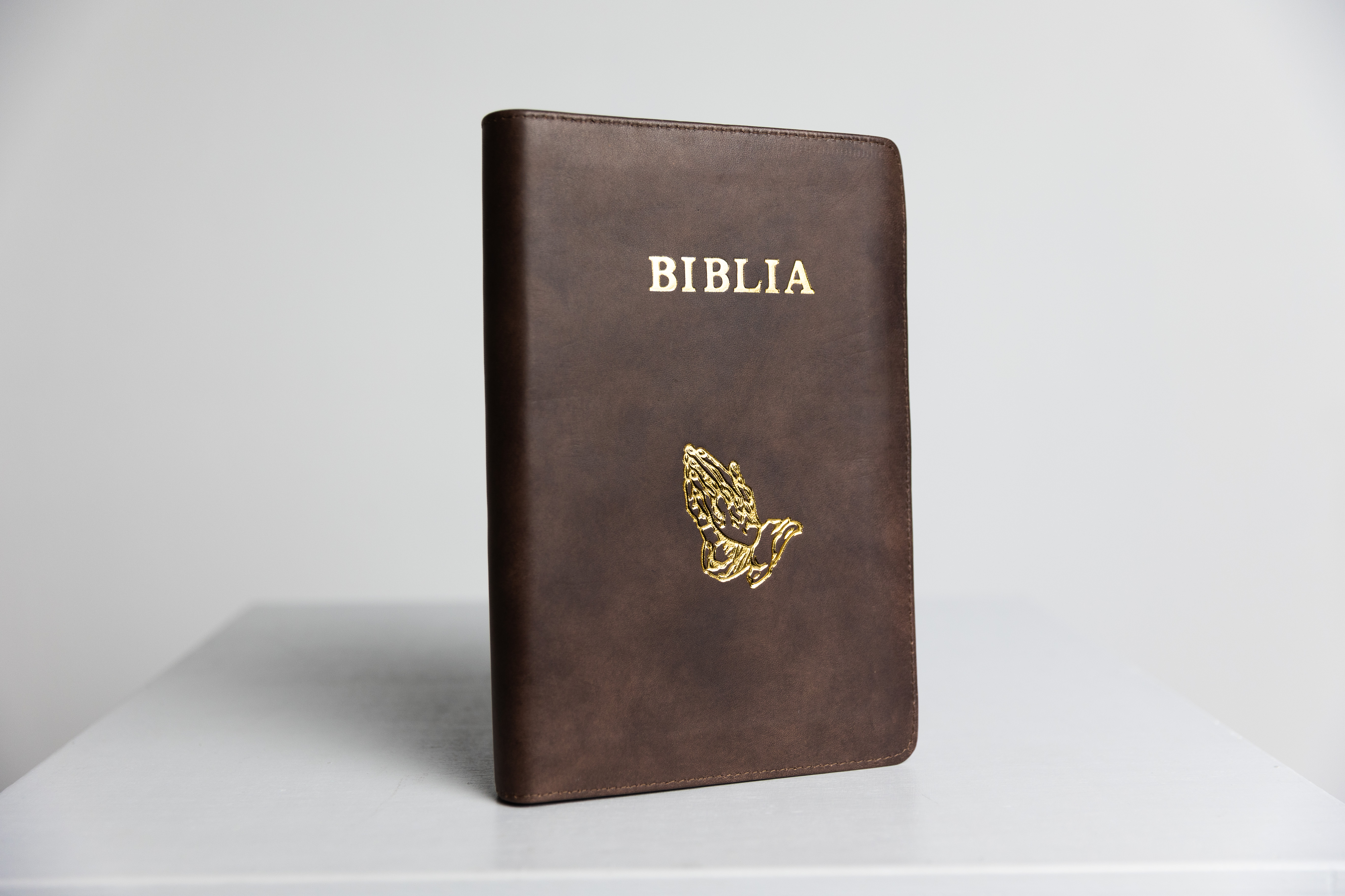 Biblie din piele, marime mare, culoare, nuanțe de maro, simbol maini in rugaciune, fermoar, index, margini aurii, cuv. lui Isus cu rosu [SI 073 PFI]