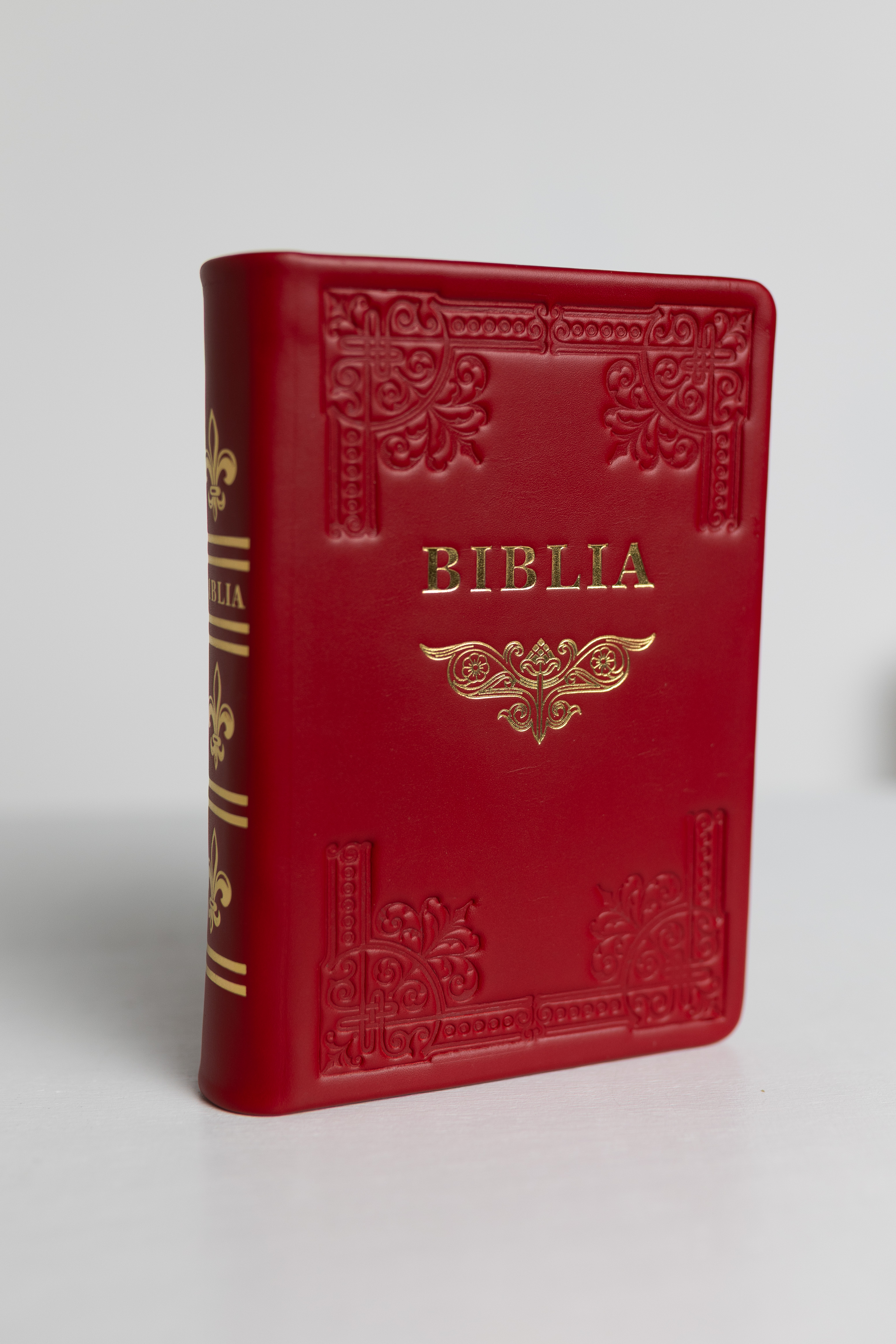 Biblia din piele, handmade, marime medie, culoare roșu, margini aurii cu index, cuv. lui Isus cu rosu [057 HM]