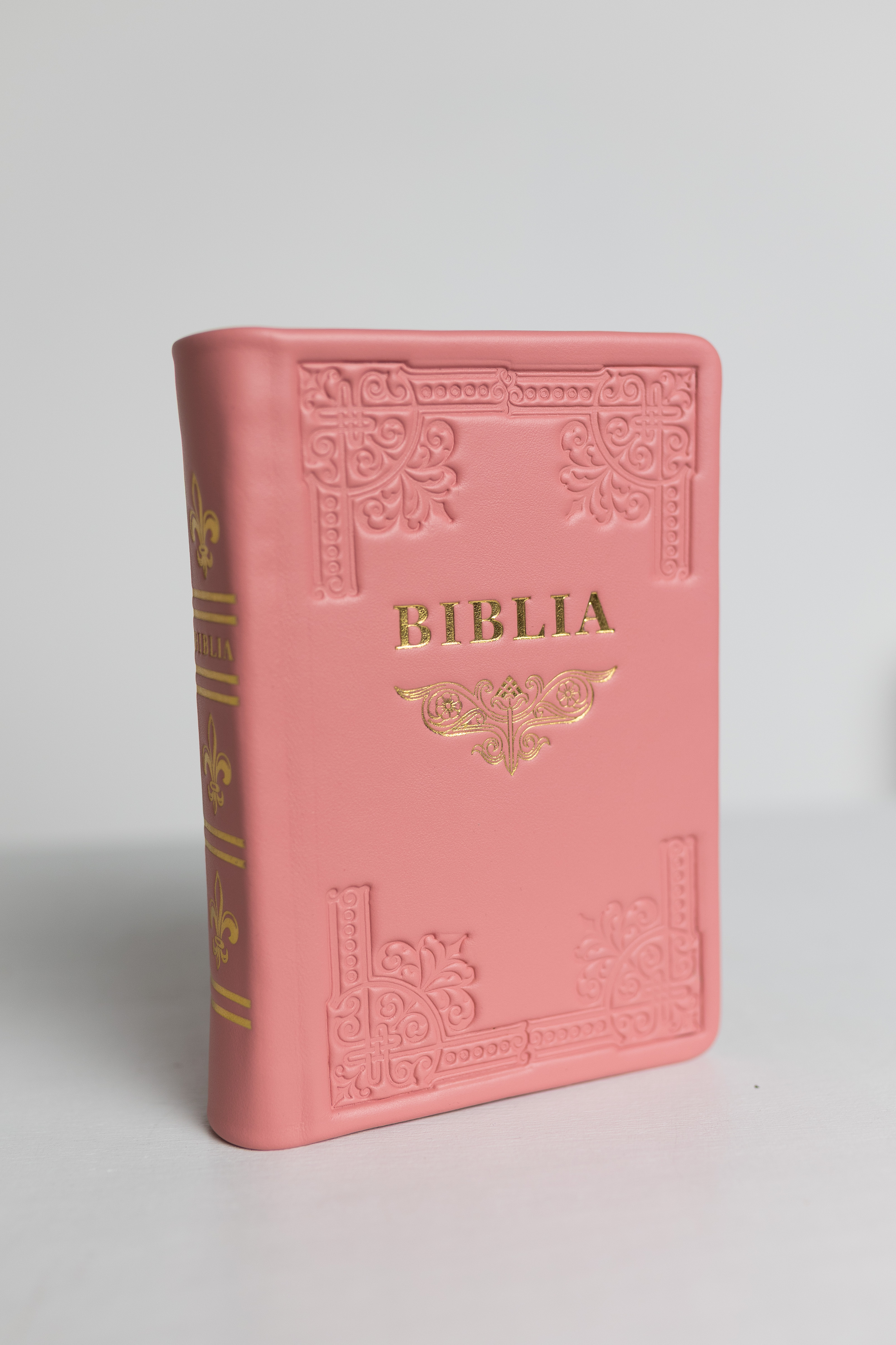 Biblia din piele, handmade, marime medie, culoare roz pastel, margini aurii cu index, cuv. lui Isus cu rosu [057 HM]