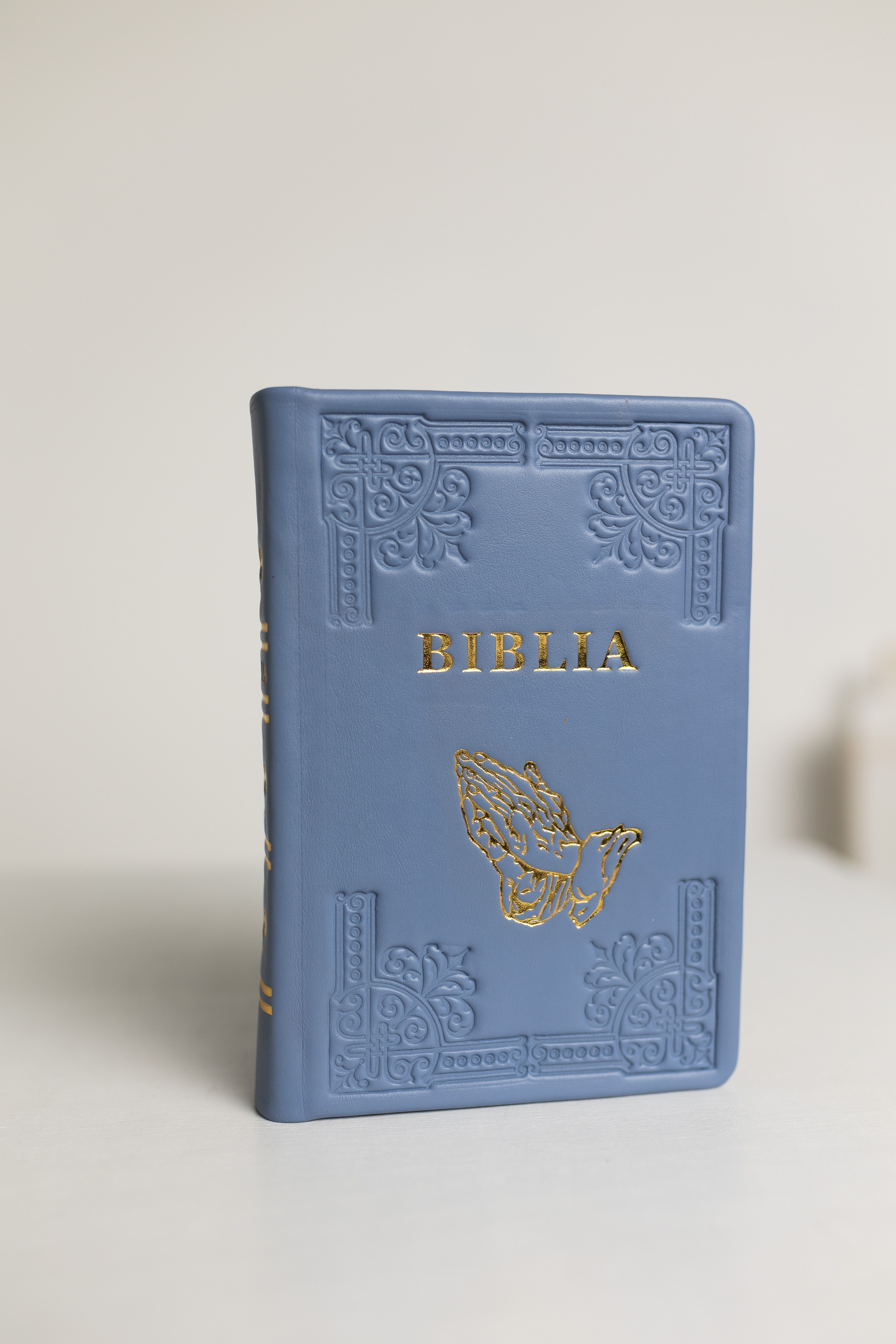 Biblia din piele, handmade, marime medie, culoare albastru pastel, margini aurii cu index, maini in rugaciune, cuv. lui Isus cu rosu [057 HM]
