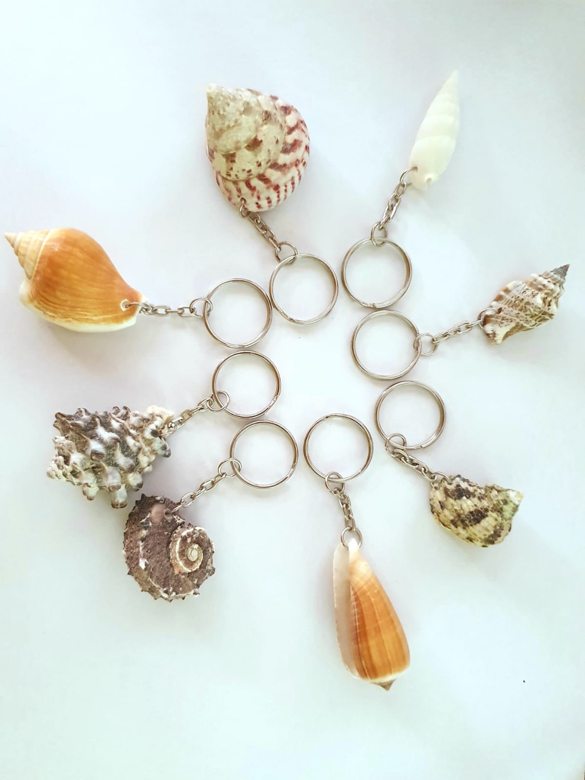 Breloc cochilie scoica Breloc cochilie scoica