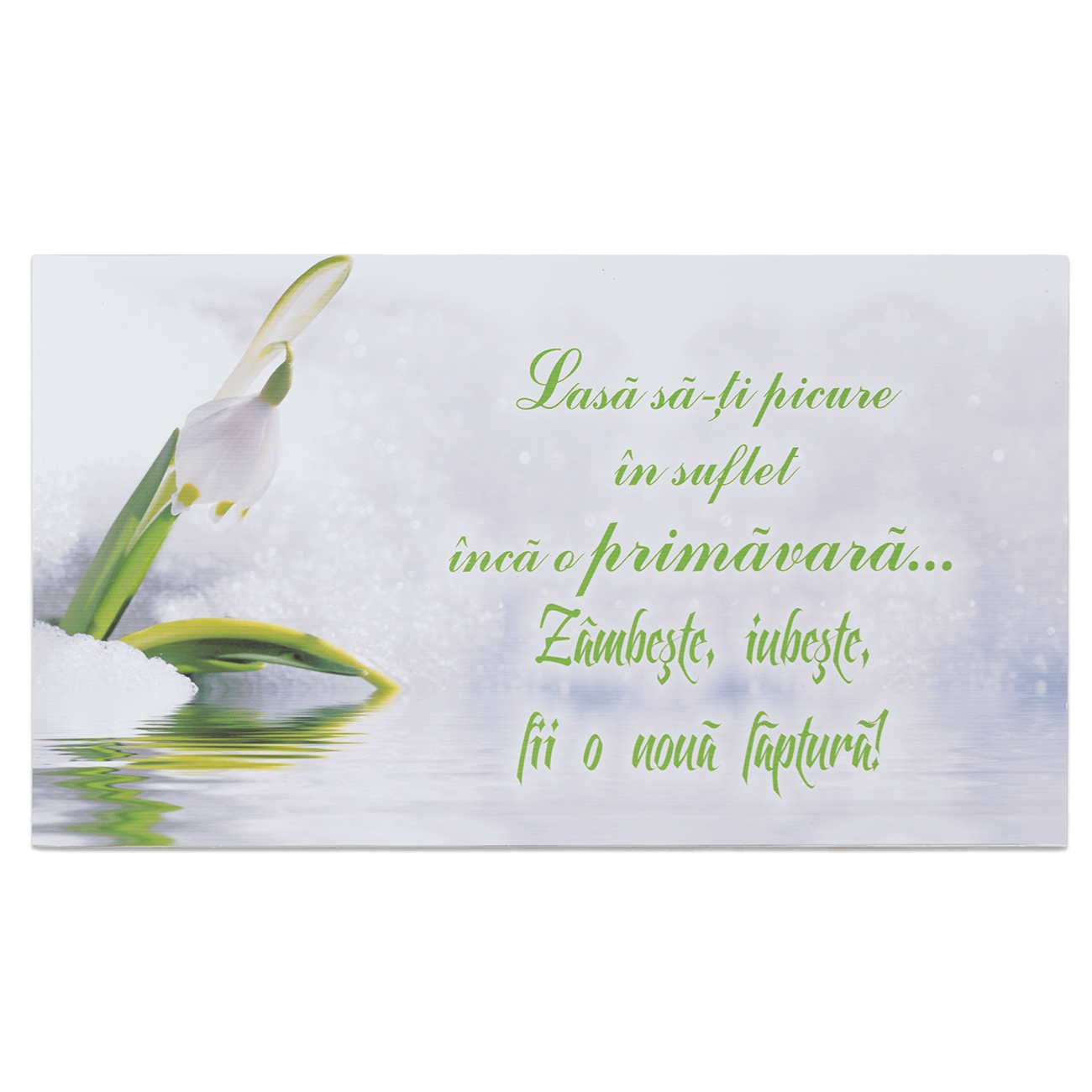 Placheta birou - "Lasa sa-ti picure in suflet..." Placheta birou - "Lasa sa-ti picure in suflet..."