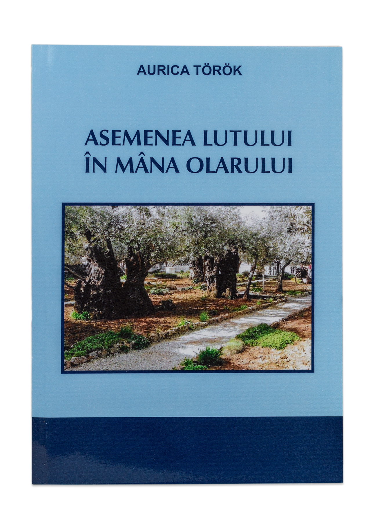 Asemenea lutului in mana olarului Asemenea lutului in mana olarului