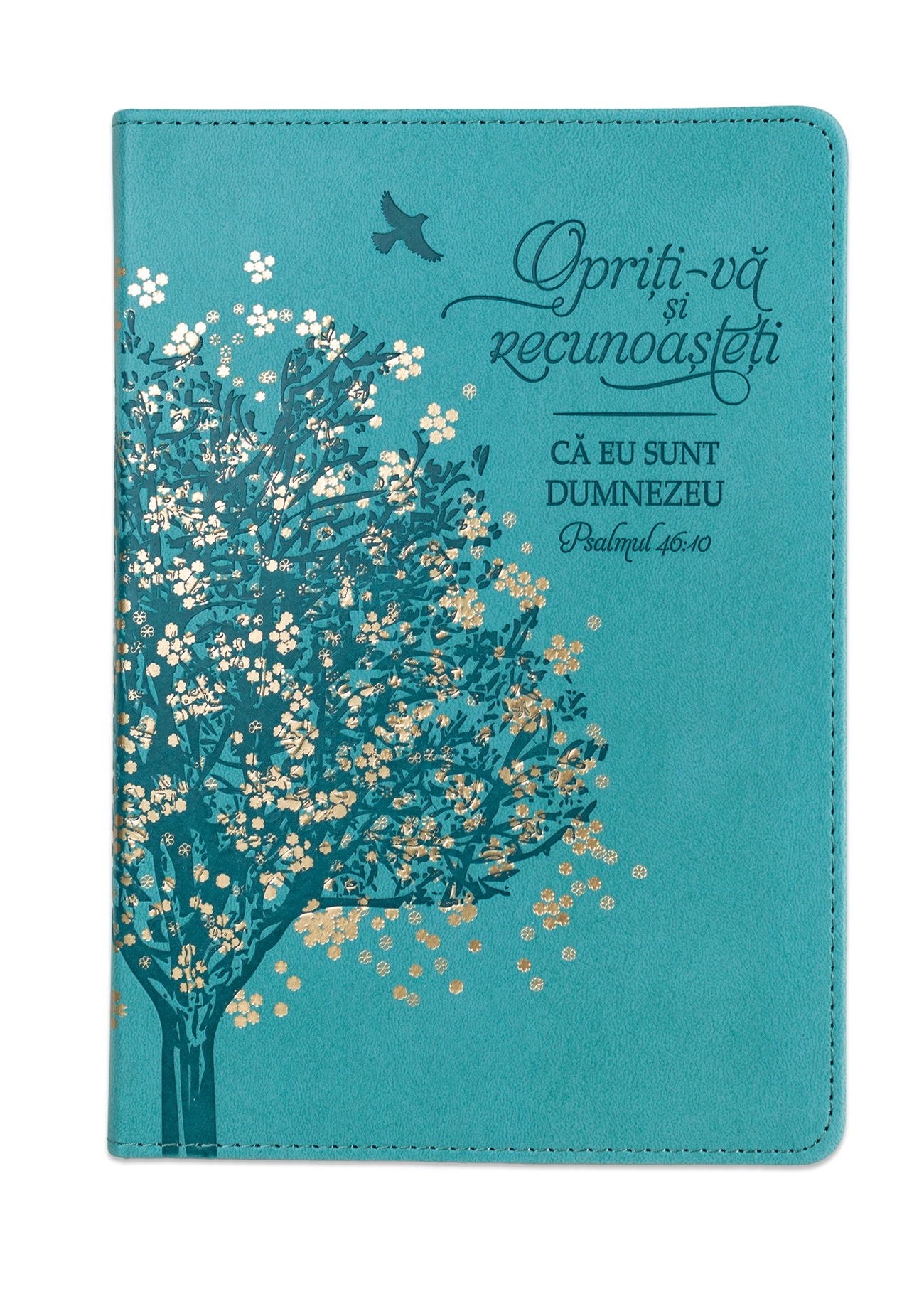 Jurnal: Opriți-vă și recunoașteți