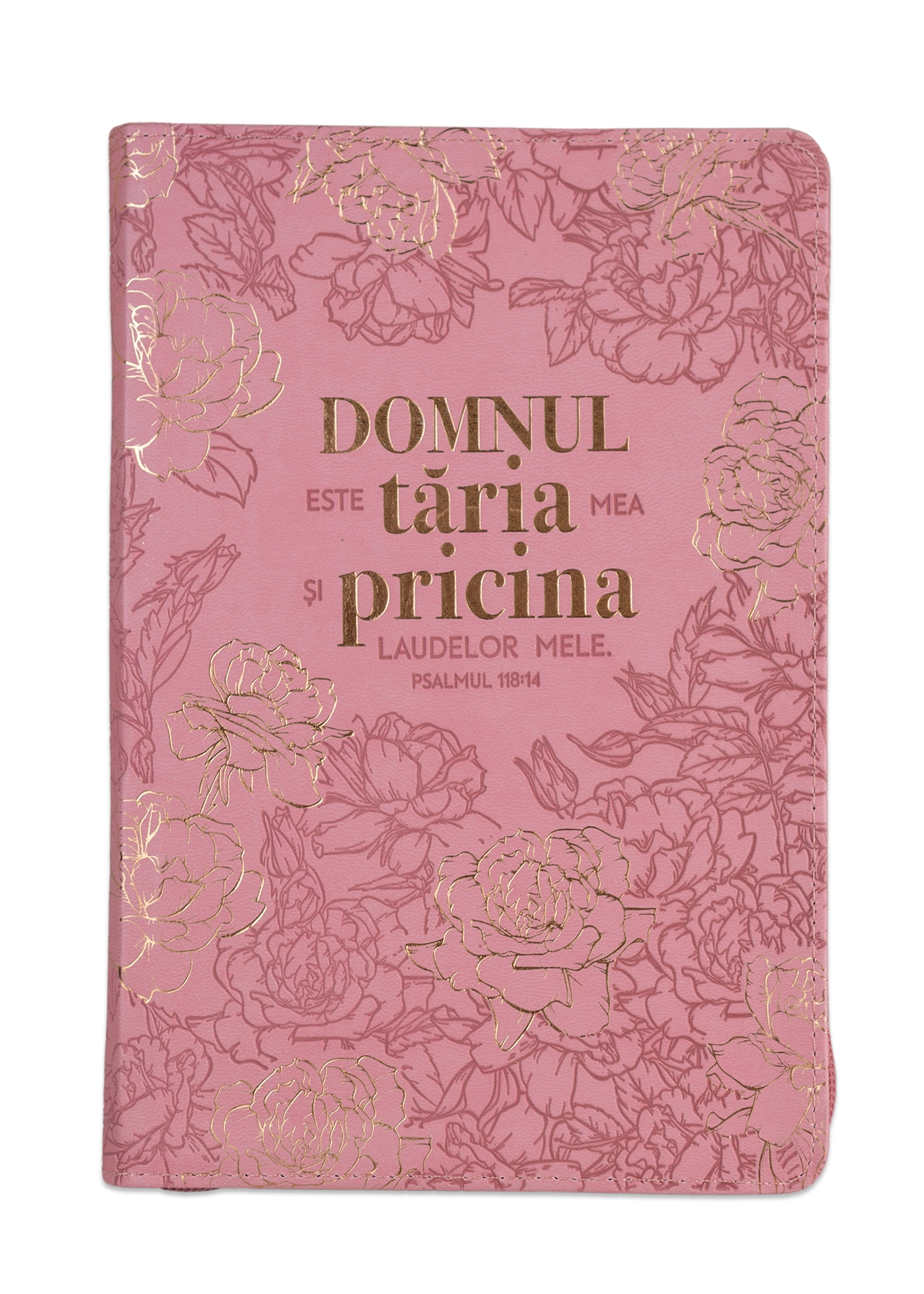 Jurnal: Domnul este tăria mea