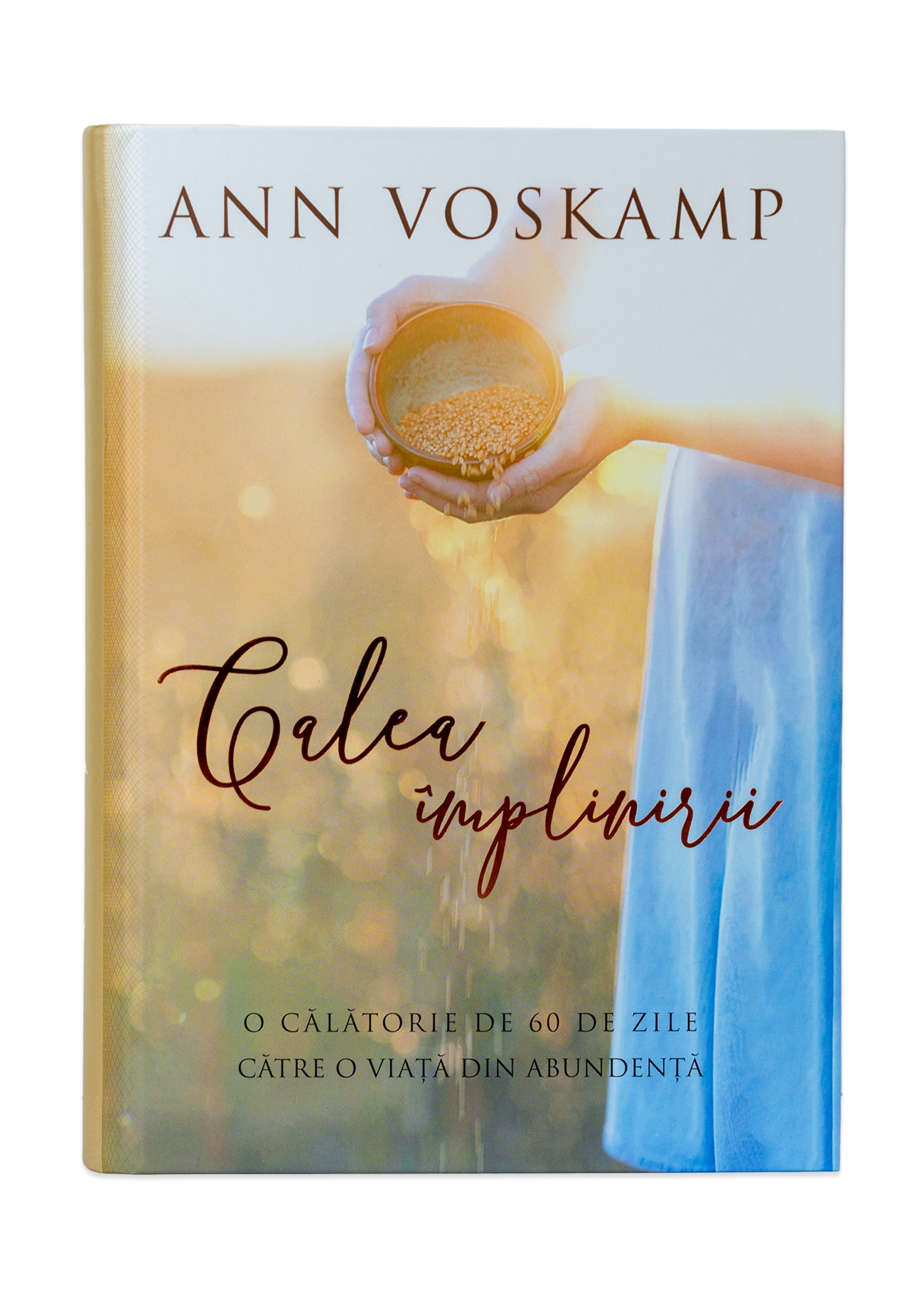 Calea implinirii Calea implinirii