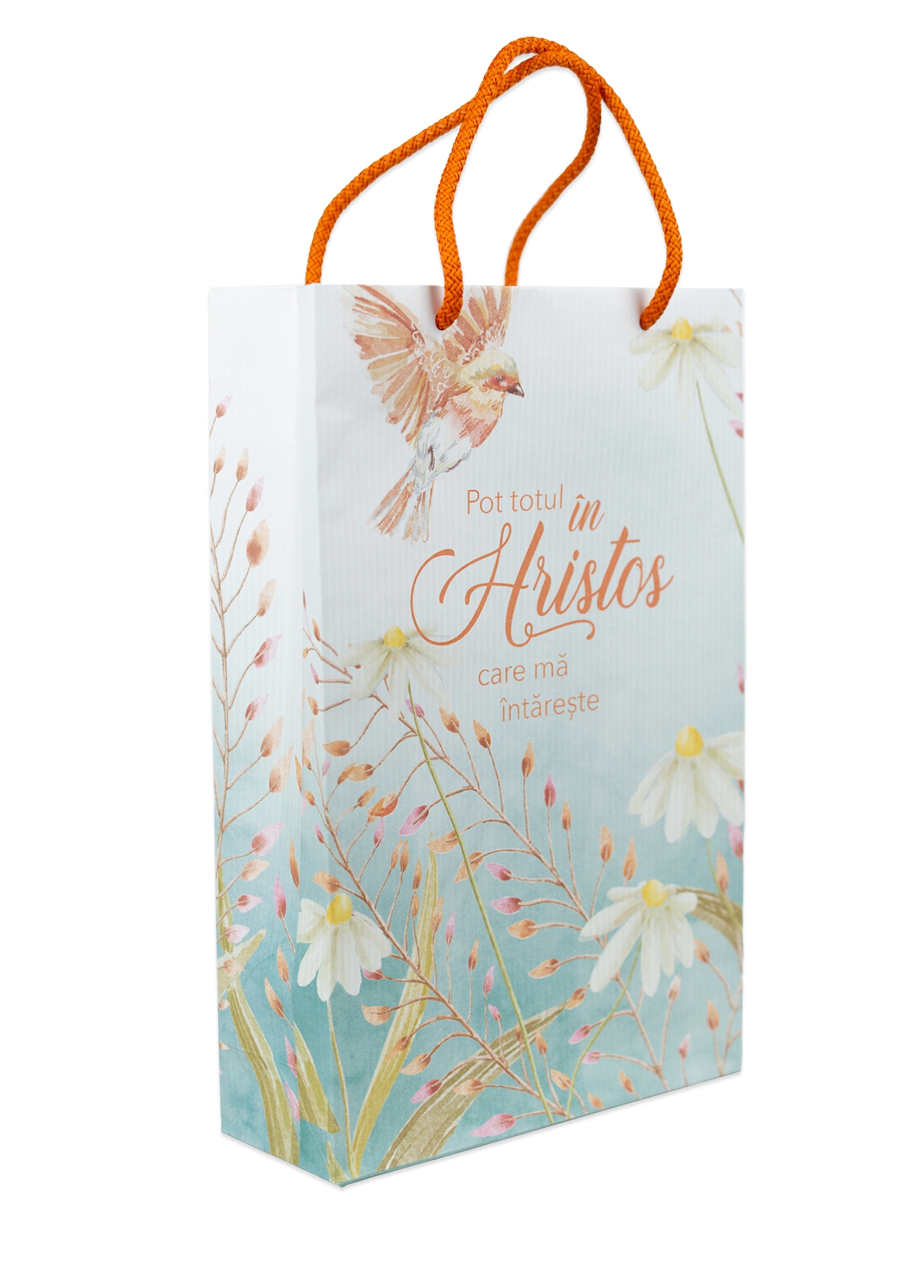 Punga mare - Pot totul în Hristos care mă întărește Punga mare - Pot totul în Hristos care mă întărește