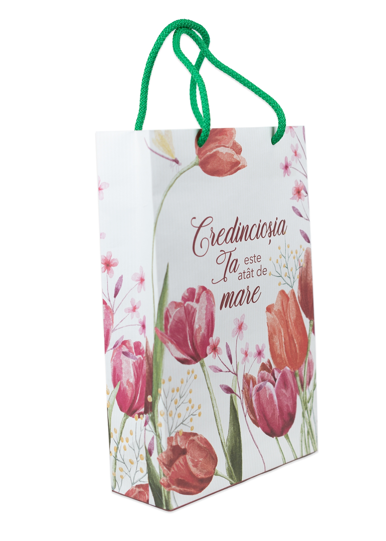 Punga medie - Credincioșia Ta este atât de mare Punga medie - Credincioșia Ta este atât de mare