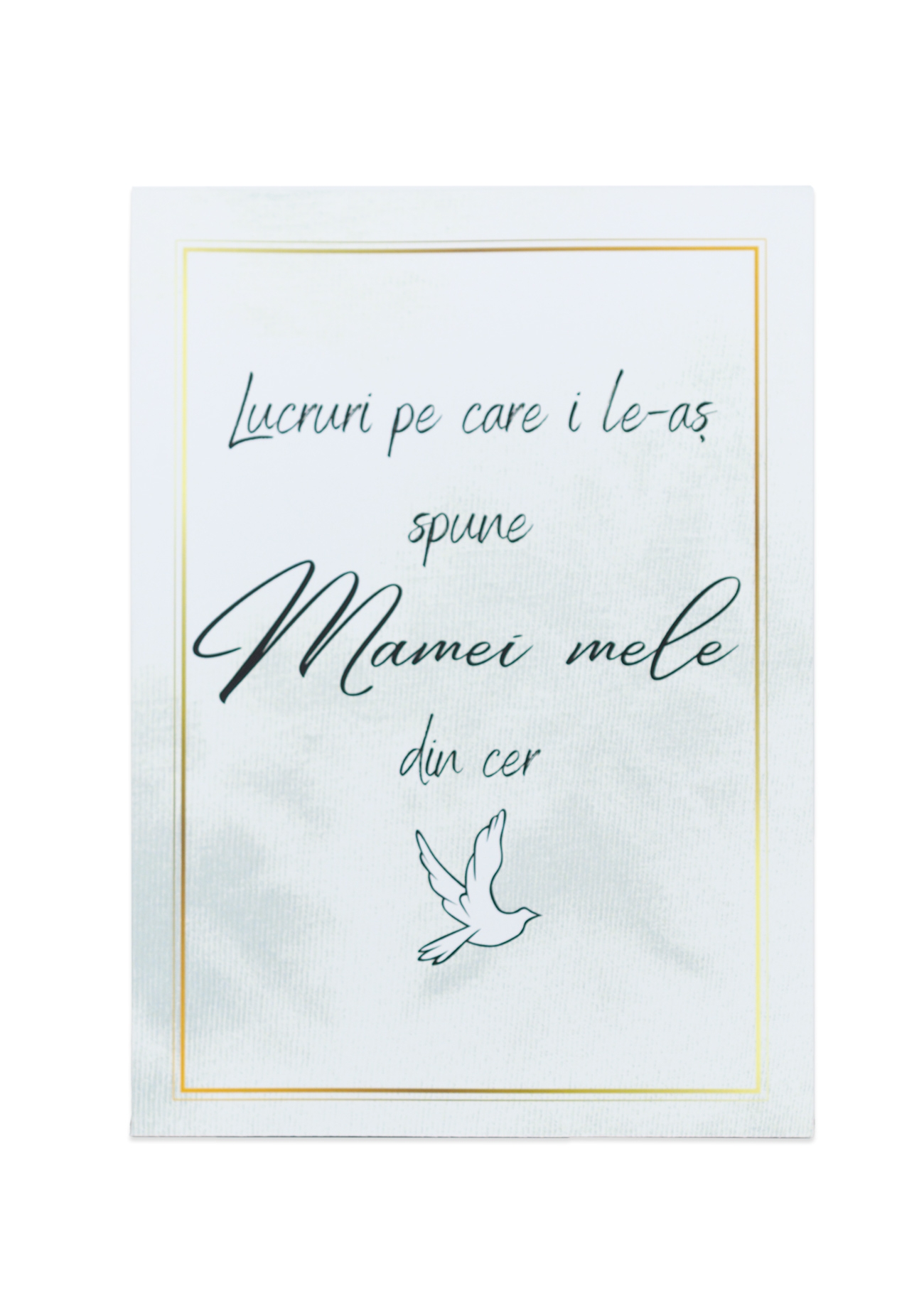 Lucruri pe care i le-aș spune mamei mele din cer - Jurnal