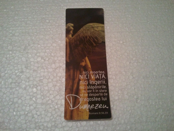 Semn de carte - nici moartea, nici viata ... Semn de carte - nici moartea, nici viata ...