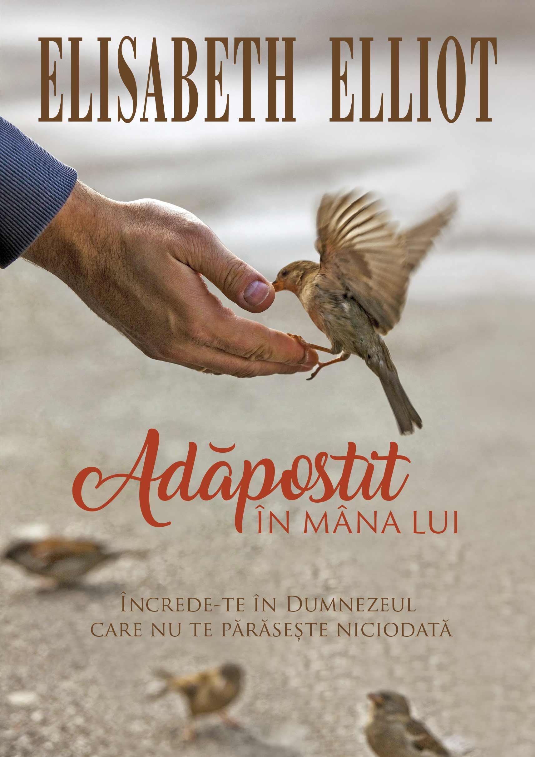 Adăpostit în mâna Lui Adăpostit în mâna Lui