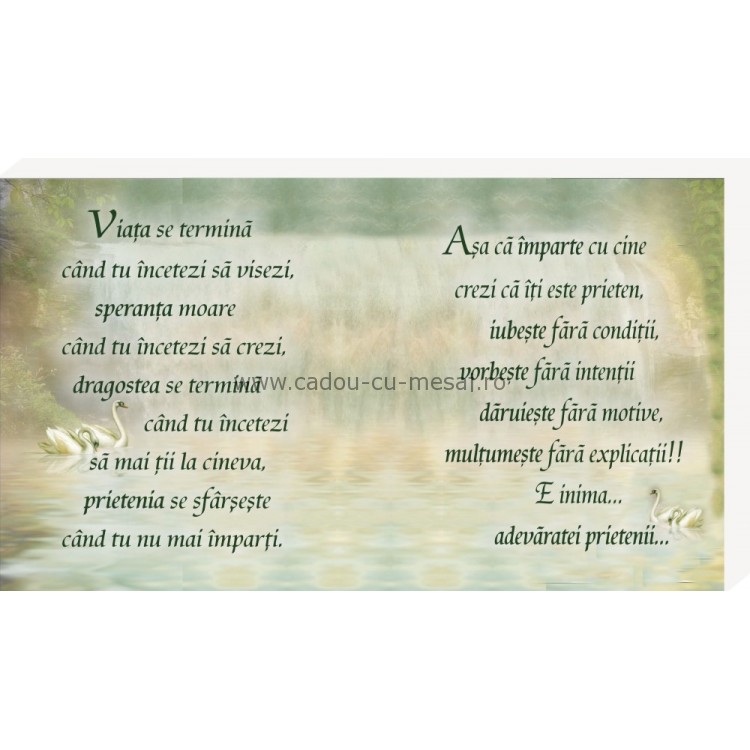 Adevărata prietenie- Placheta birou Adevărata prietenie- Placheta birou