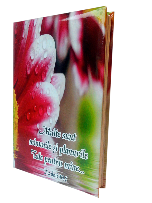 Agenda crestina - Multe sunt minunile si planurile Tale pentru mine Agenda crestina - Multe sunt minunile si planurile Tale pentru mine