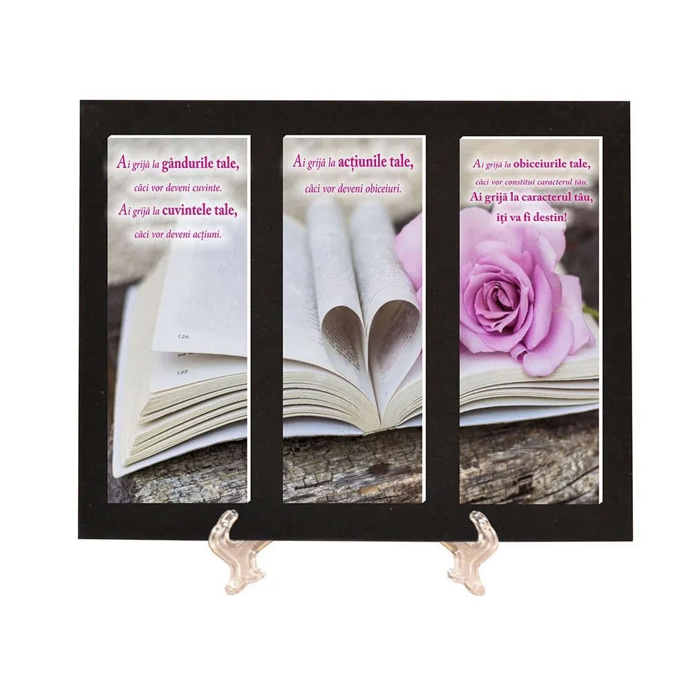 Placheta catifea - Ai grijă la gândurile tale