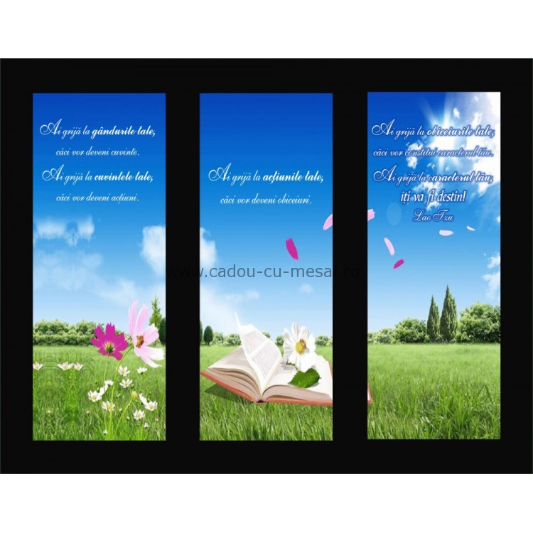 Placheta catifea - Ai grijă la gândrile tale Placheta catifea - Ai grijă la gândrile tale