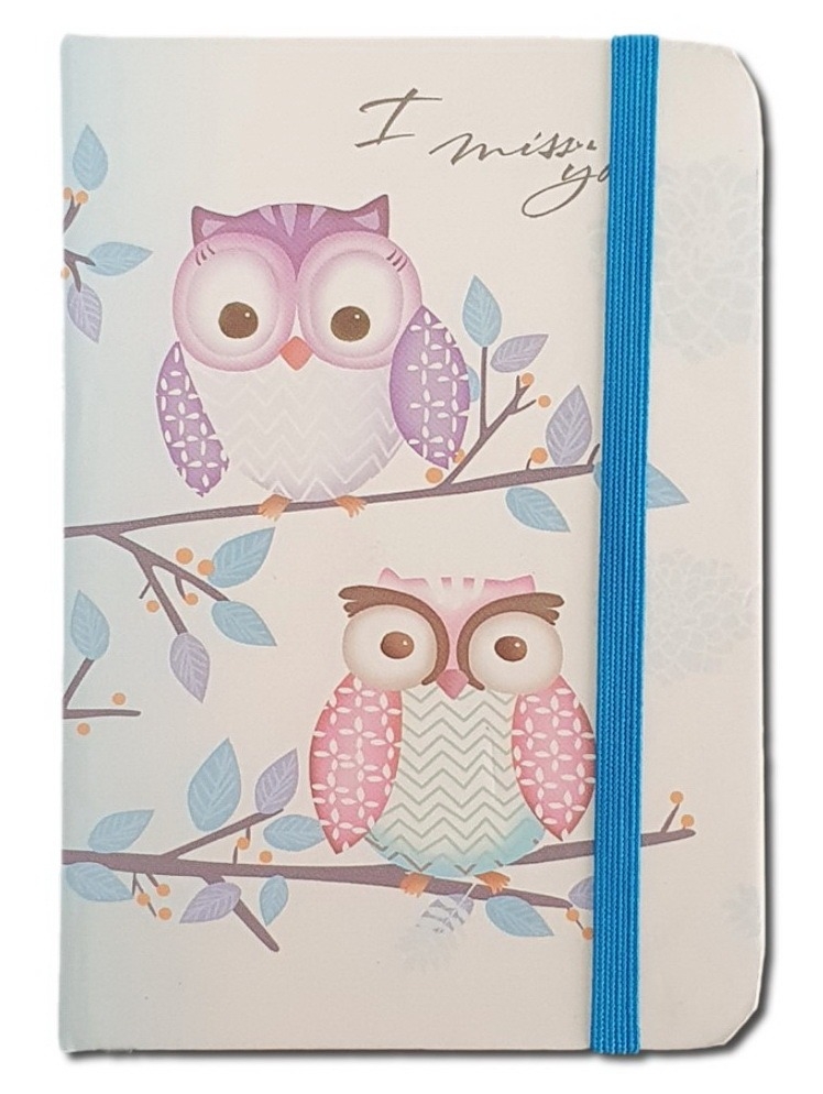 Carnetel A7 pentru femei - Bufnite, alb-albastru  (7.5x10.5x1.5 cm) Carnetel A7 pentru femei - Bufnite, alb-albastru  (7.5x10.5x1.5 cm)
