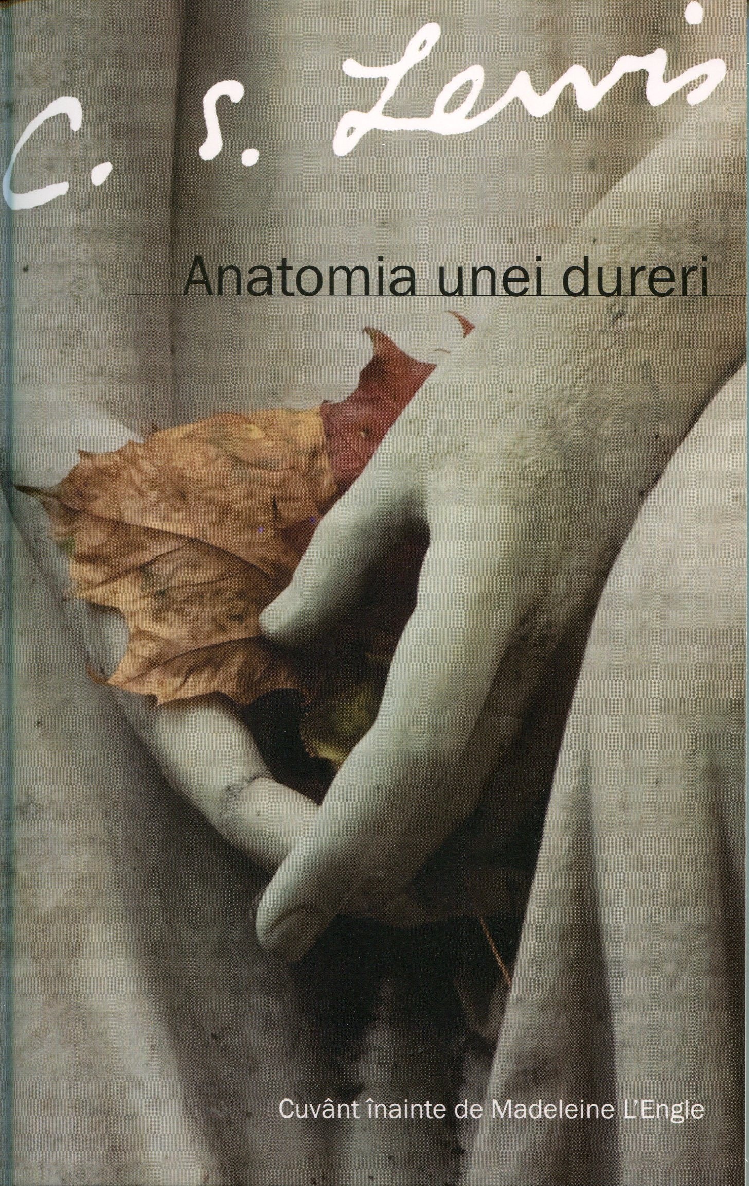 Anatomia unei dureri - Meditatii crestine