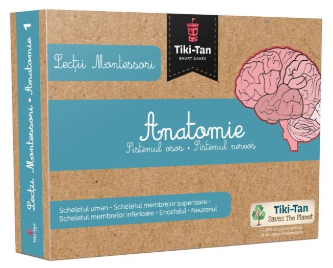 Anatomie: Sistemul osos si Sistemul nervos - Lectii Montessori pentru copii (3+ ani) Anatomie: Sistemul osos si Sistemul nervos - Lectii Montessori pentru copii (3+ ani)