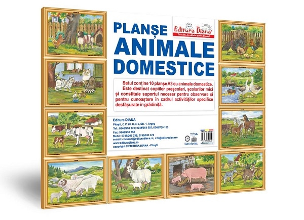 Animale domestice - Set 10 planșe A3 Animale domestice - Set 10 planșe A3