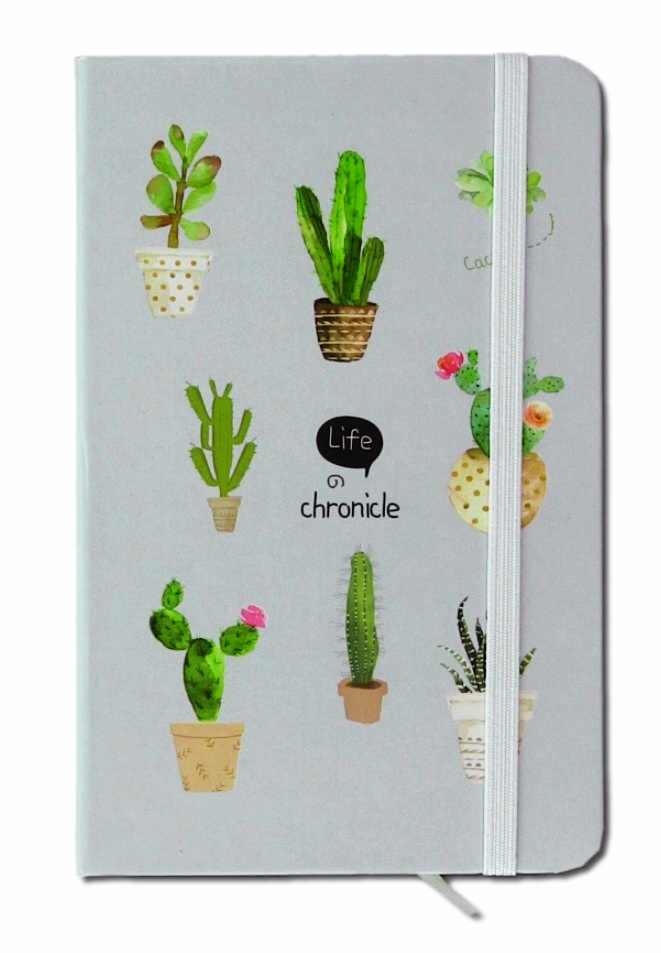 caiet pentru femei- Cactus gri-albastru ( 9x14x1.5 cm ) caiet pentru femei- Cactus gri-albastru ( 9x14x1.5 cm )