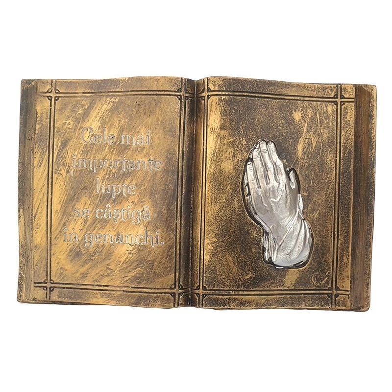 Aplica rasina - Cele mai importante lupte Aplica rasina - Cele mai importante lupte