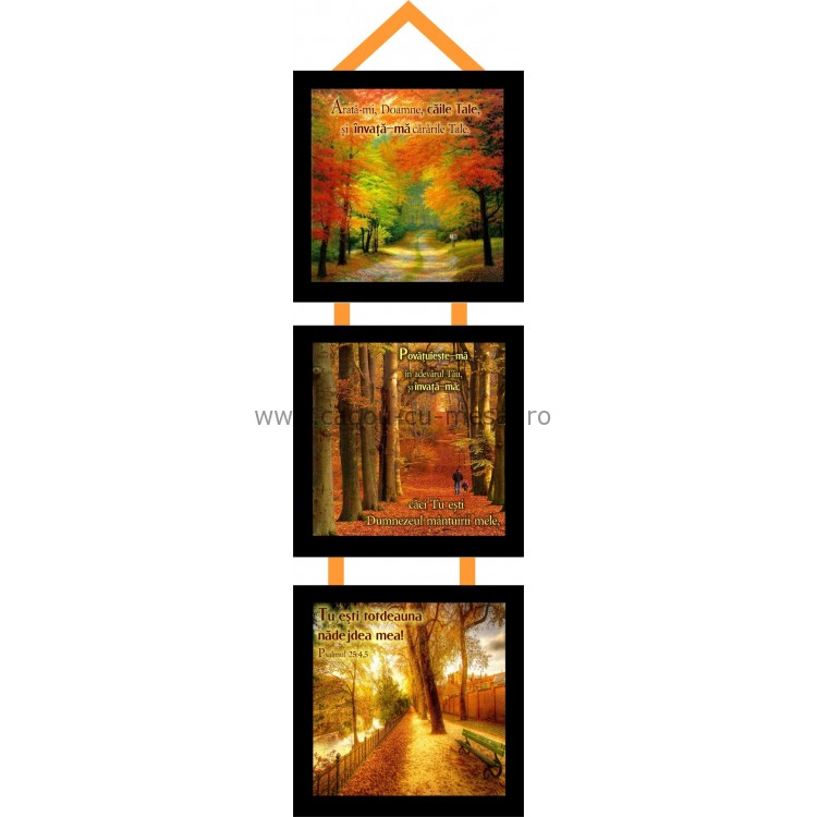 Arata-mi Doamne caile Tale