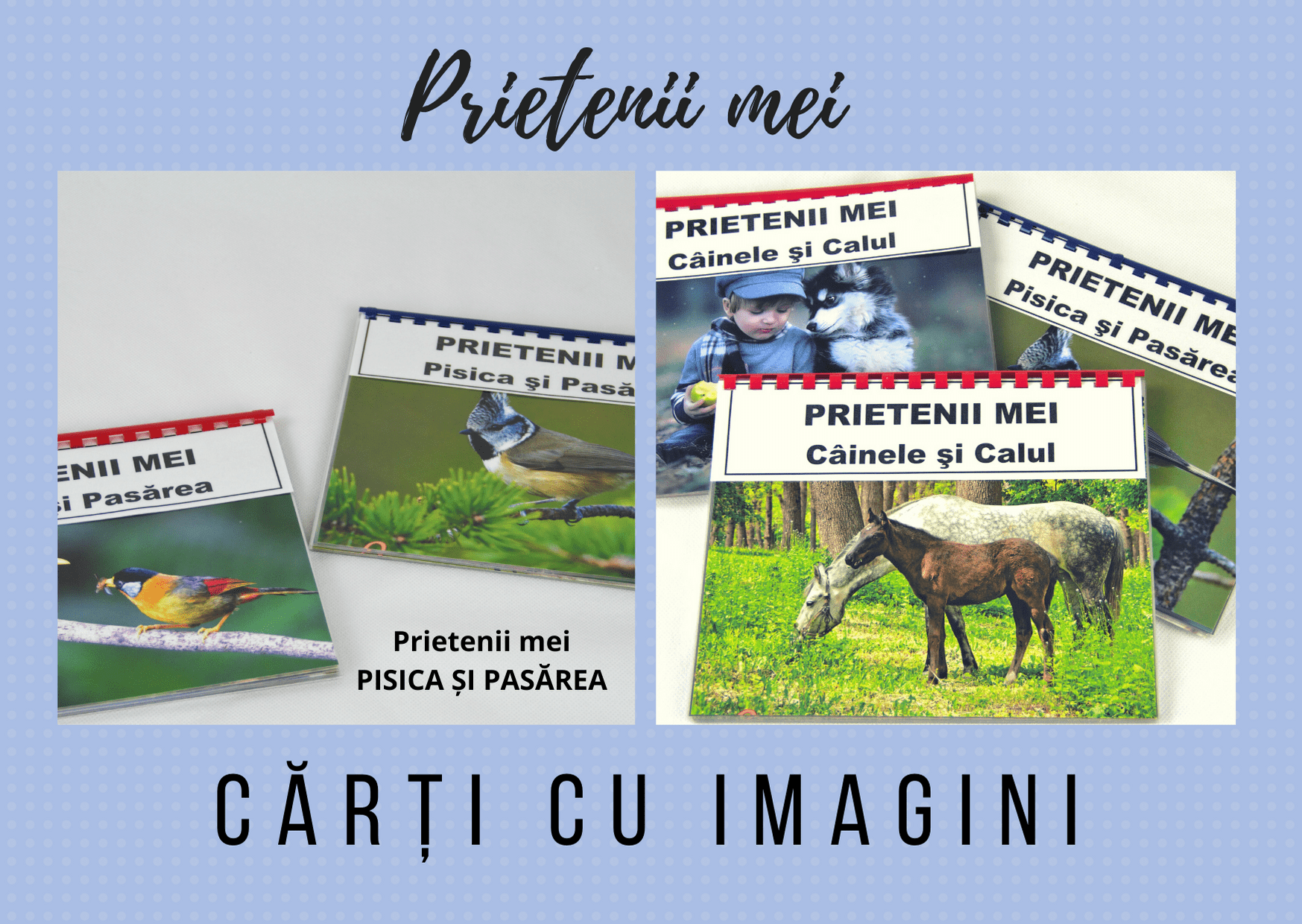 Prietenii mei – Pisica și pasărea - Cărți cu imagini