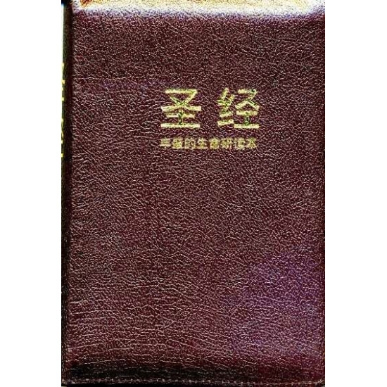 Biblia de studiu in limba chineza, marime medie, fermoar, margini aurii - Fire Bible -Chinese (中文) Simplified Burgundy with Zipper Biblia de studiu in limba chineza, marime medie, fermoar, margini aurii - Fire Bible -Chinese (中文) Simplified Burgundy with Zipper